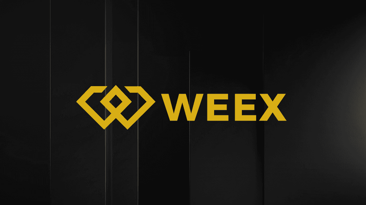 What is Brevis (BREV) Coin?