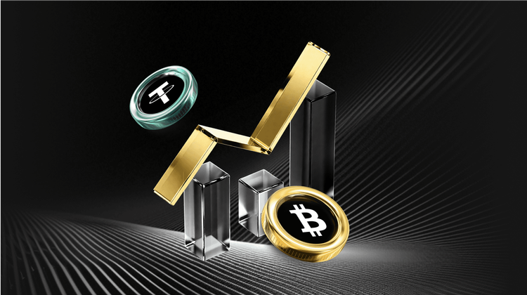 What is Somaliscan (SS) Coin?