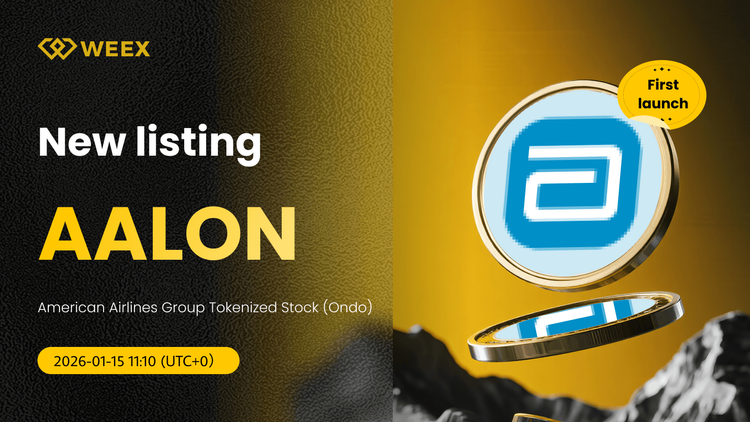 AALON USDT: American Airlines Group Tokenized Stock on WEEX