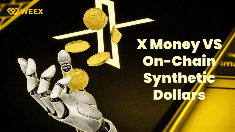 Elon Musk's X Money vs. Crypto's Synthetic Dollars: Who Wins the Future of Money?