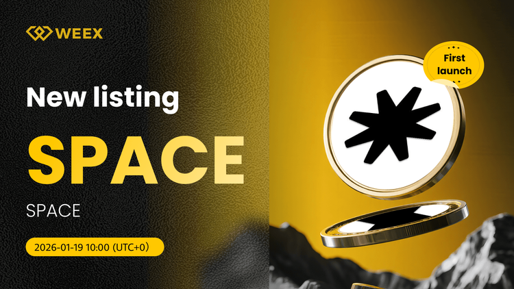 SPACE USDT Spot Trading Pair Listed on WEEX Exchange