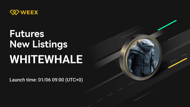 WHITEWHALE USDT: WEEX Futures Launches Perpetual Contract